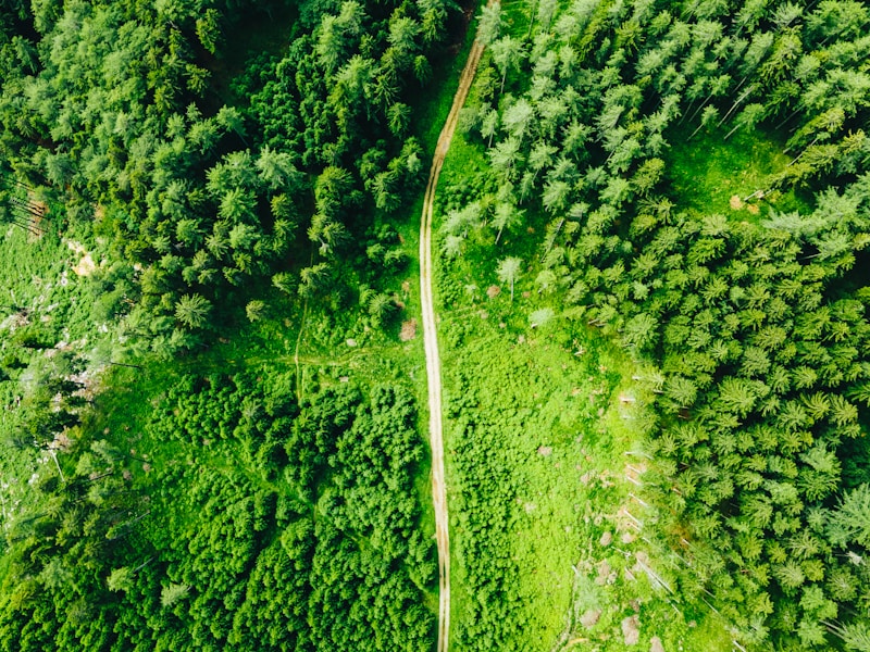 10 Sustainable Travel Destinations for a Carbon-Neutral Vacation in 2024