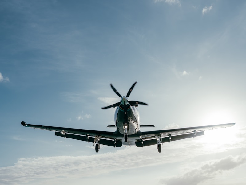 Carbon Offsetting 101: A Comprehensive Guide for Frequent Flyers