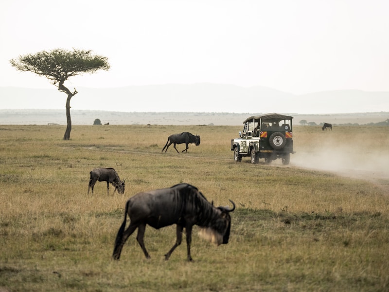 Eco-Luxury: Can High-End Travel and Environmental Conservation Coexist?