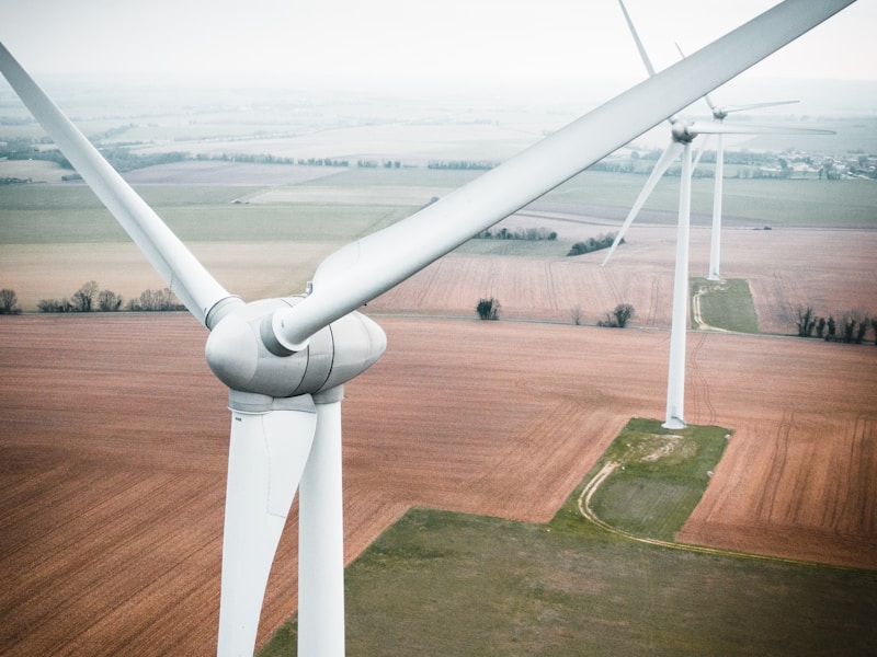 How to Identify and Avoid Greenwashing in Eco-Tourism: A Traveler's Guide