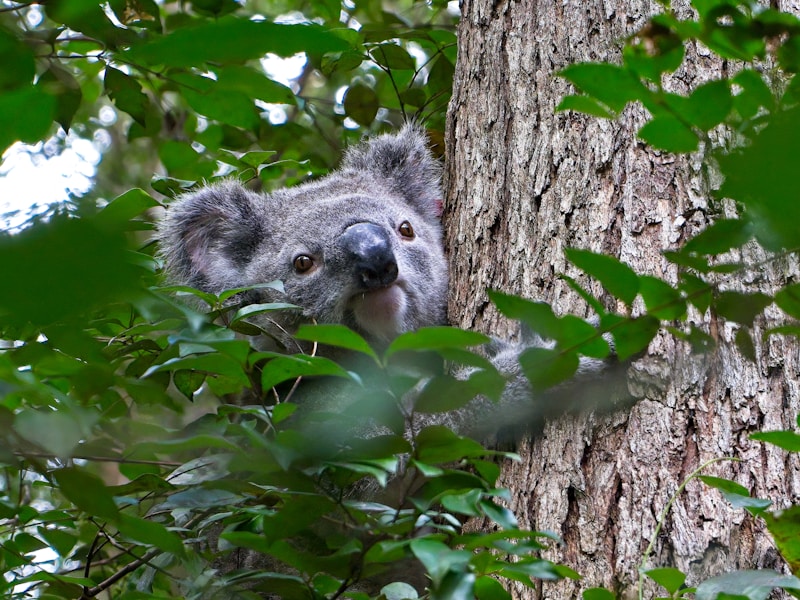 How to Practice Regenerative Tourism: Leaving Places Better Than You Found Them