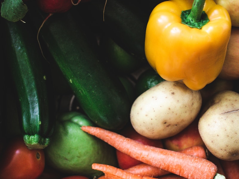 The Fuel of Champions: Inside the Plant-Based Diet Trend Among Elite Athletes
