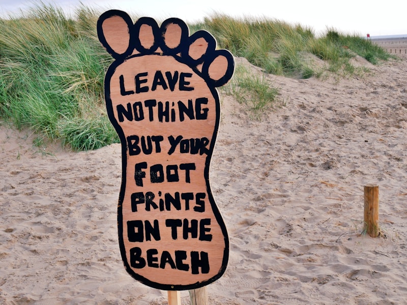 The Regenerative Journey: How Community-Based Tourism Directly Funds Global Conservation