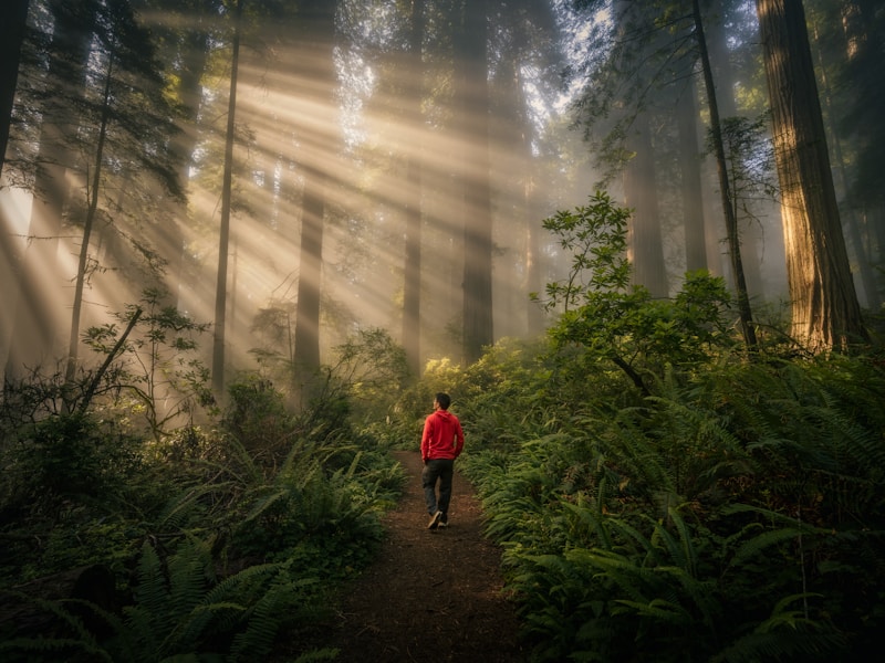 The Rise of Silent Travel: Why Quiet Parks and Digital Detoxes are the Future of Tourism