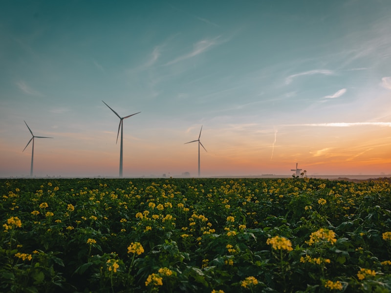 The Sustainable Digital Nomad: Balancing Remote Work with Planet Care