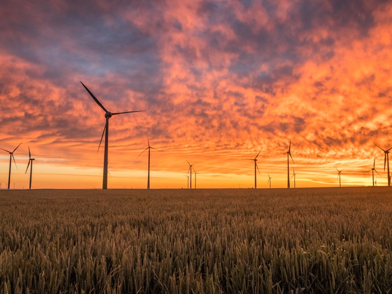 The Ultimate Beginner's Guide to Carbon Offsetting for International Flights