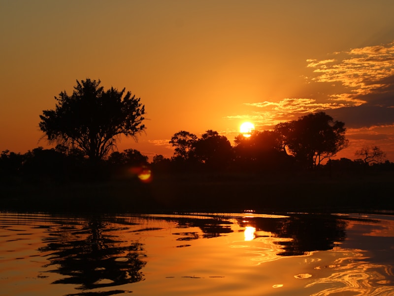 Wilderness Immersion: Top Ethical Wildlife Encounters Around the World